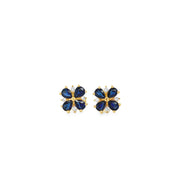 Sapphire & Diamond Earrings