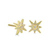 Naledi Star